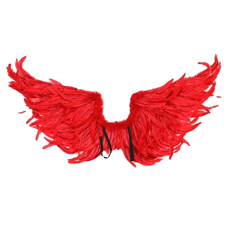 Fairy Bride Wedding Photograph - Cosplay Flame Prop review and price